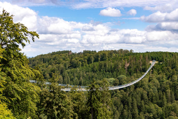 istock Skywalk Suspension bridge in Willingen, Germany 1601170595