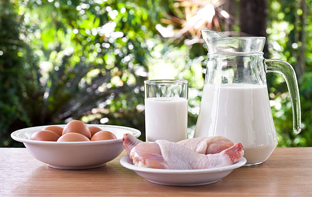 milk and raw food stock photo