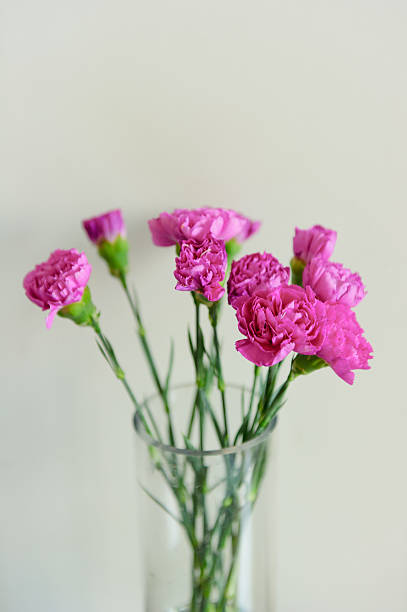 istock pink flower with glass vase 160119180