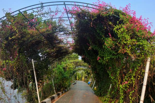 istock Lovers walk in the flower tunnel park. 1601200074