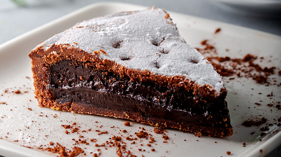 A slice of delicious chocolate cake. Piece of Cake on a Plate.