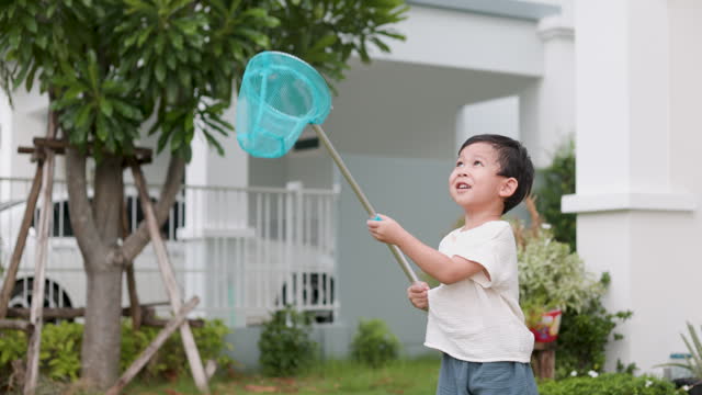 boy walking and catching insect with scoop-net on summer day