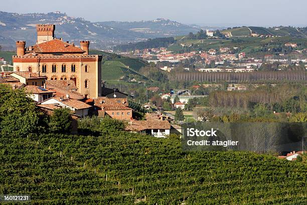 Vista Dal Castello Di Barolo - Fotografie stock e altre immagini di Alba - Provincia di Cuneo - Alba - Provincia di Cuneo, Italia, Agricoltore