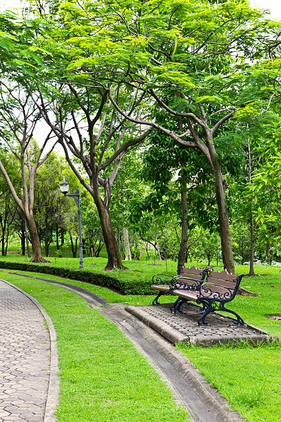 istock chair in the park 160121329