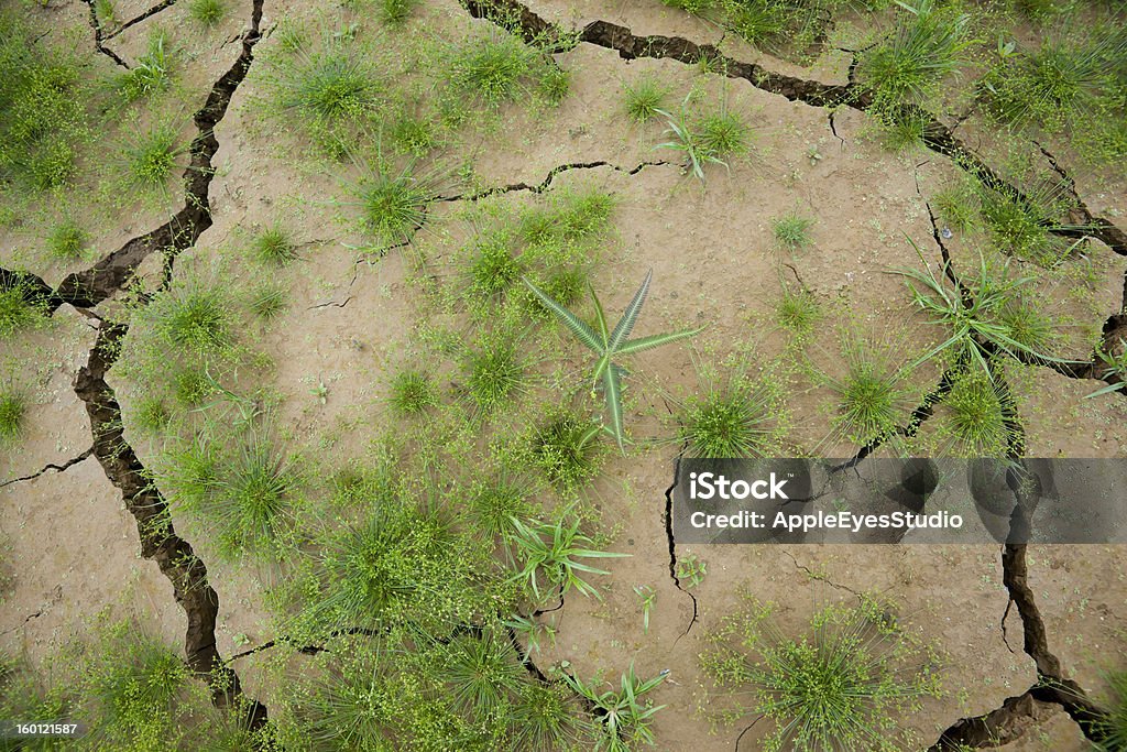 Трещины почвы - Стоковые фото Sangkhla Buri роялти-фри