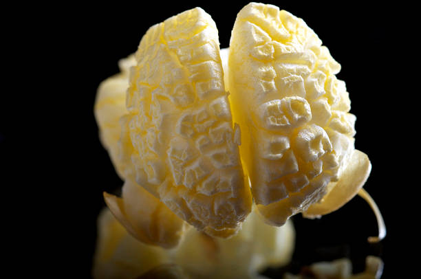 brain pop corn