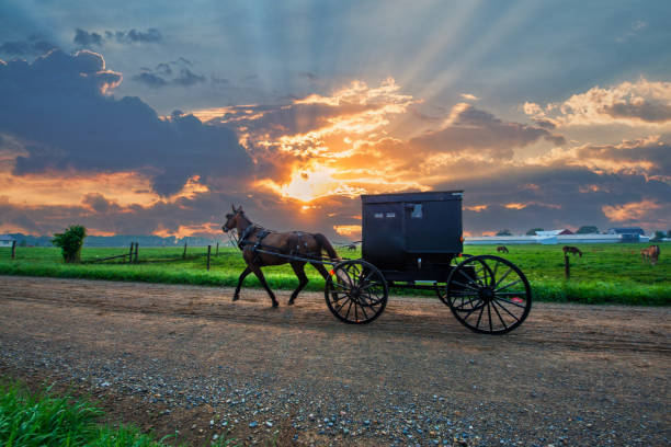 istock Horse and buggy with Sunbeams 1601239382