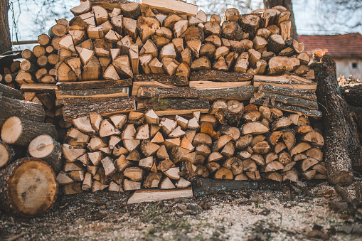 A close-up shot of the equipment used by a woodcutter while cutting firewood