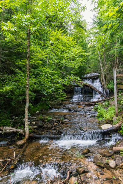 istock A beautiful waterfall in the forest in summer 1601245180