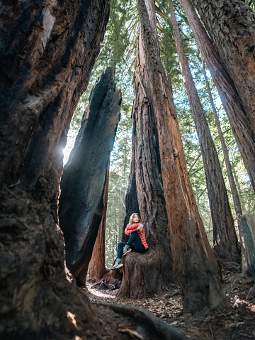 A female camper wearing a red puffer jacket holding a coffee cup while sitting under a redwood tree in Big Sur, California.