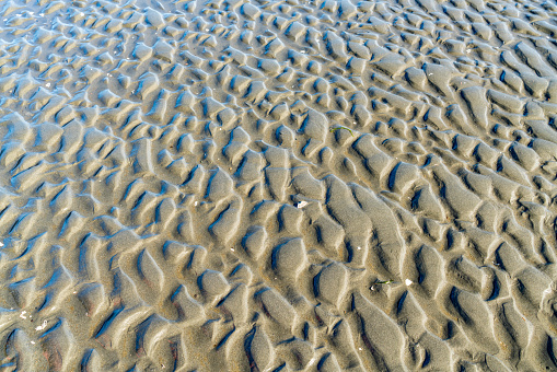 Ocean water has created patterns in the sand at Moclips, Washington.