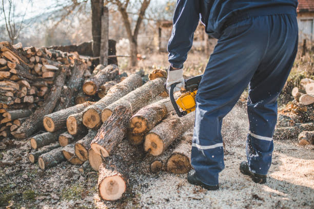 istock An active senior retired man in uniform is cutting firewood using a chainsaw 1601260995