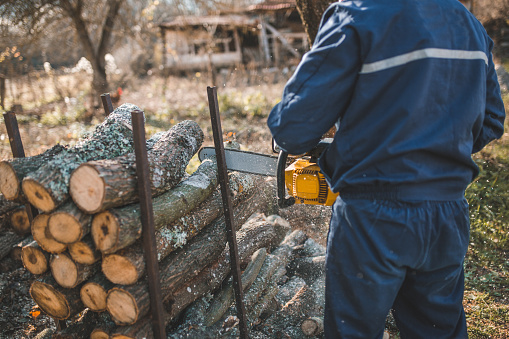 An unrecognizable active senior retired man cuts firewood with a chainsaw