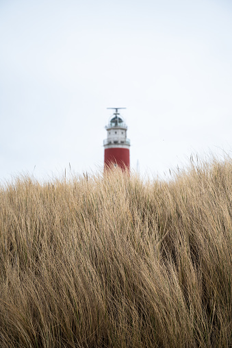 Lighthouse of Texel in the dunes.