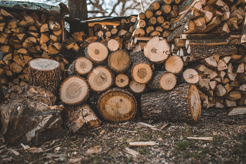 A close-up shot of the equipment used by a woodcutter while cutting firewood