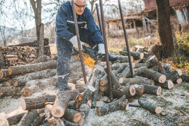 istock Senior woodcutter dressed in a protective uniform and with protective gloves cuts firewood and prepares for the winter season 1601296990