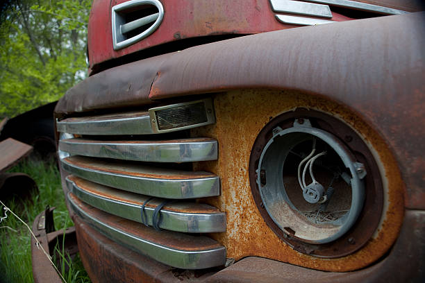 istock Old truck in the trees 160134604