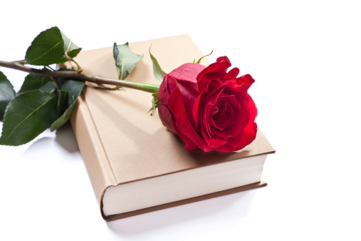 A red rose on a book. EOS 5D Mark II
