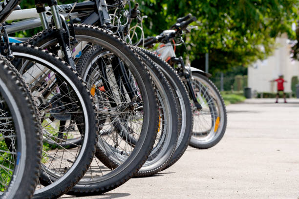istock Bicycles stand in a row at the rental point 1601353054