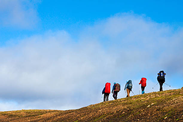 istock Five backpackers hiking in the mountain 160136956