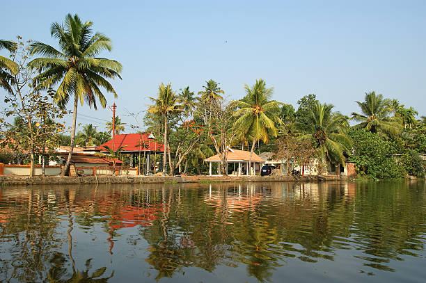 istock coconut palms on the shore of lake 160137201