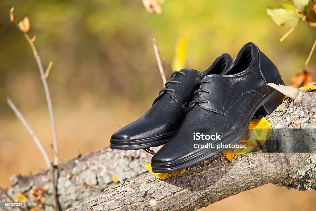 ブラックの靴で秋の公園で雄 - くつろぐのロイヤリティフリーストックフォト