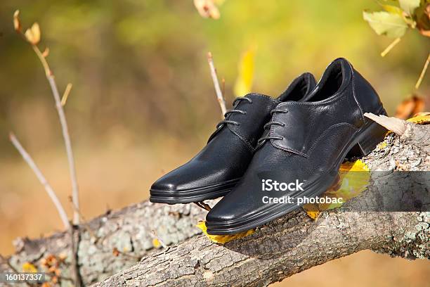 ブラックの靴で秋の公園で雄 - くつろぐのストックフォトや画像を多数ご用意 - くつろぐ, カジュアルウェア, カッコいい