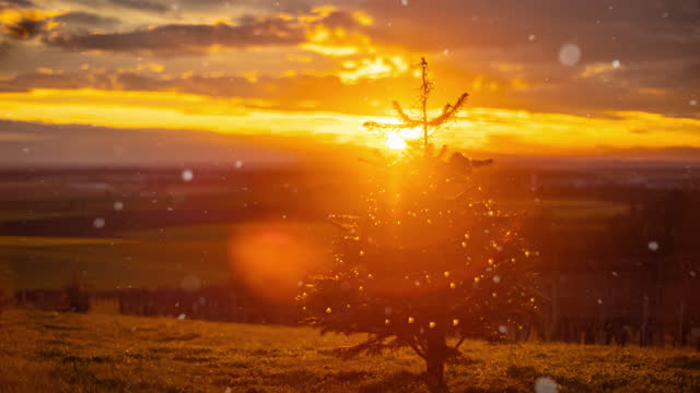 TM Picturesque cloudscape and beautiful lens flares shine over a Christmas tree while its snowing