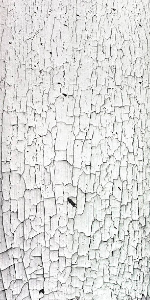 istock Old cracky white paint texture on wood 160137356