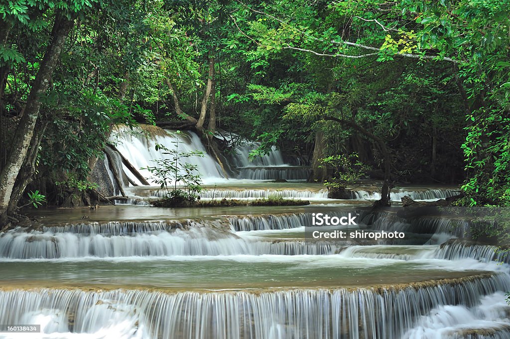 Rainforest waterfalls Waterfall located in deep forest at Huaymaekamin National park, Kanjanaburi in west of Thailand. Beauty In Nature Stock Photo