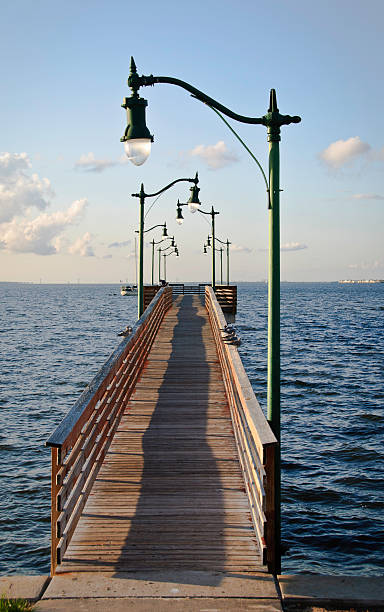 歩行者専用桟橋は、フロリダの海岸 - disappearing nature vertical florida ストックフォトと画像