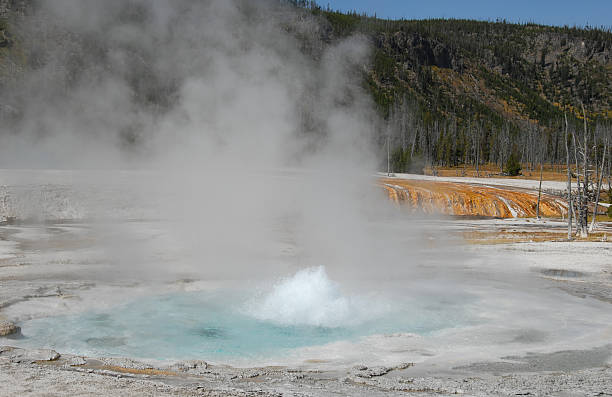 istock Spouter Geyser erupts at Black Sand Basin in Yellowstone 160139304