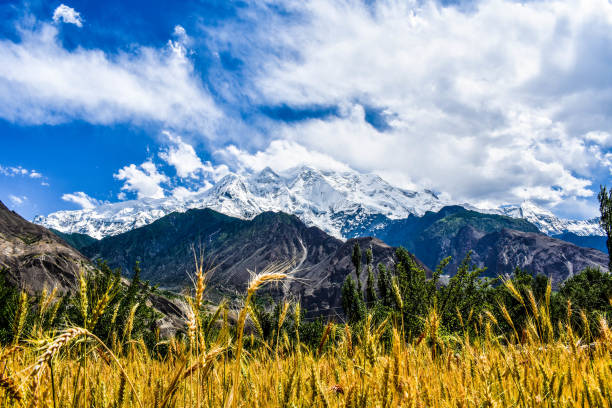 Rakaposhi Mountain Rakaposhi 7788m in Nagar Valley karakoram highway stock pictures, royalty-free photos & images