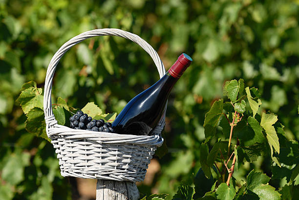 istock bottle of red wine 160141125