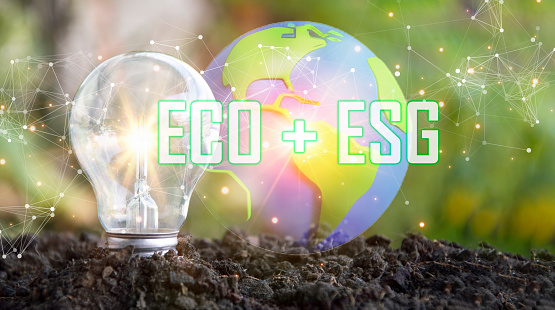 Concept, integration of ECO and ESG systems