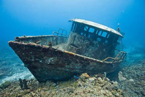 The wreck of the Mr. Bud, a former shrimping boat, scuttled off the island of Roatan, Honduras and now used as a scuba diving site.