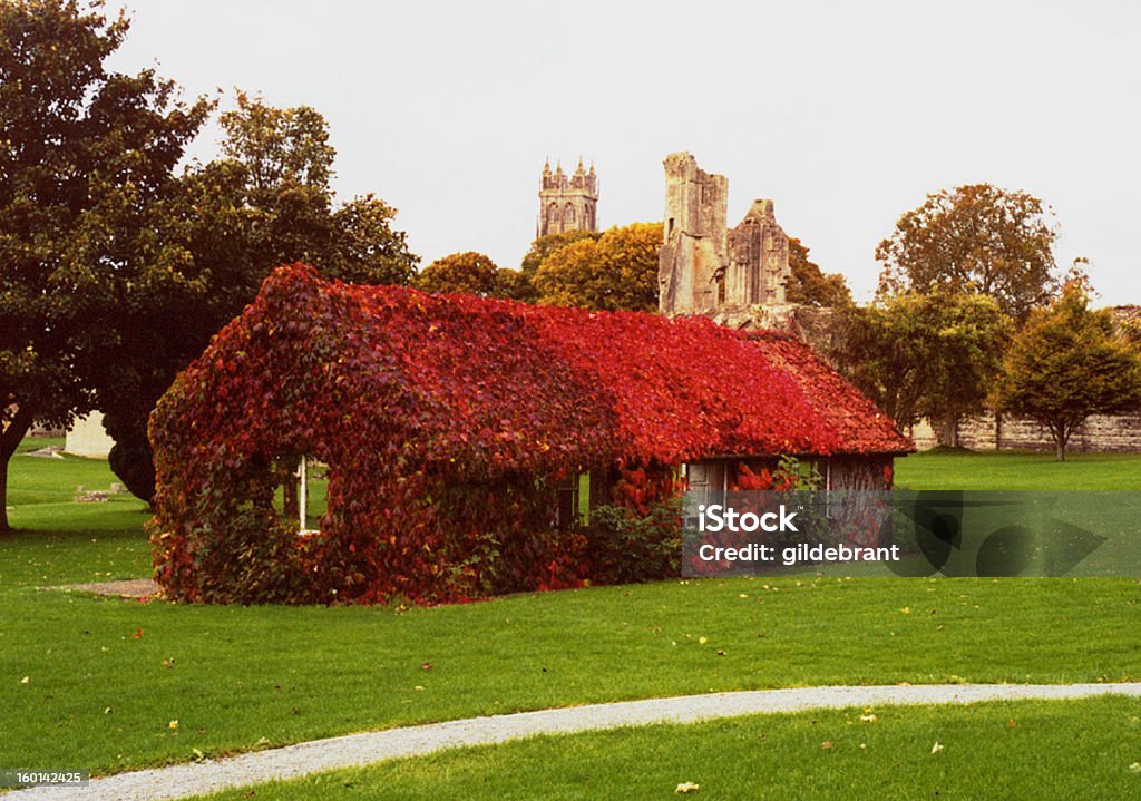 De lierre Cottage - Photo de Abbaye libre de droits