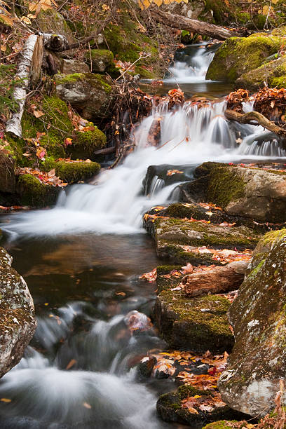 Waterfall on Carter Mountain stock photo