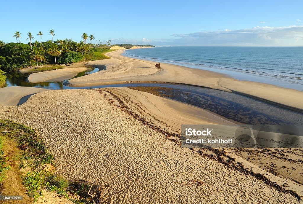 Ocean beach in Bahia Cumuruxatiba, Brazil, 2010. Ocean beach in Bahia Bahia State Stock Photo