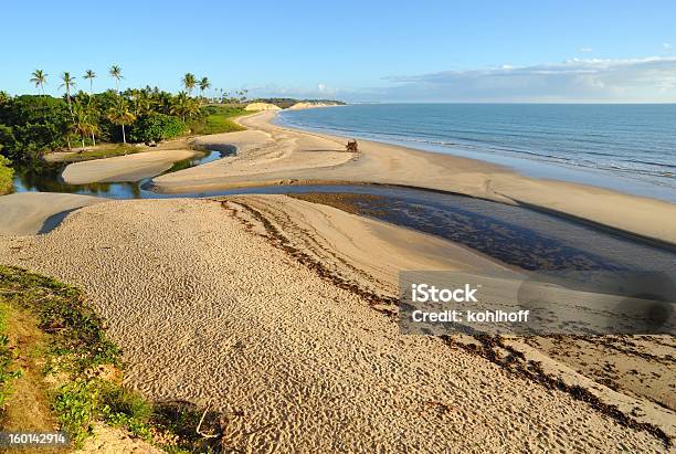 Ocean Beach In Bahia Stock Photo - Download Image Now - Bahia State, Beach, Brazil