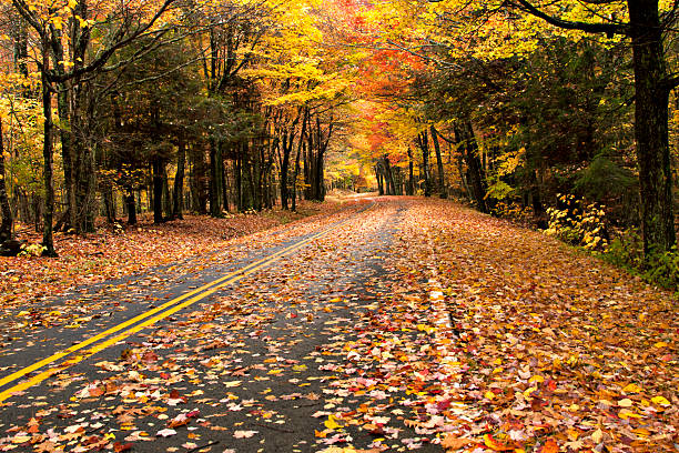 istock Beautiful Autumn Road In Mountains 160143172