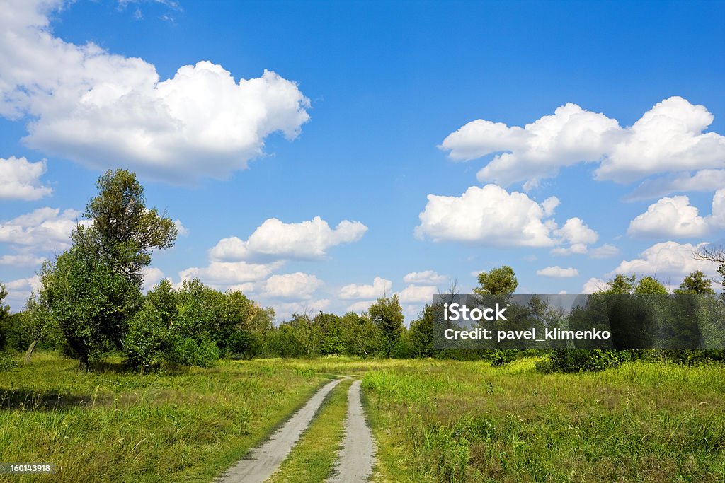 Rural road in steppe Rural road in steppe in september time Agricultural Field Stock Photo