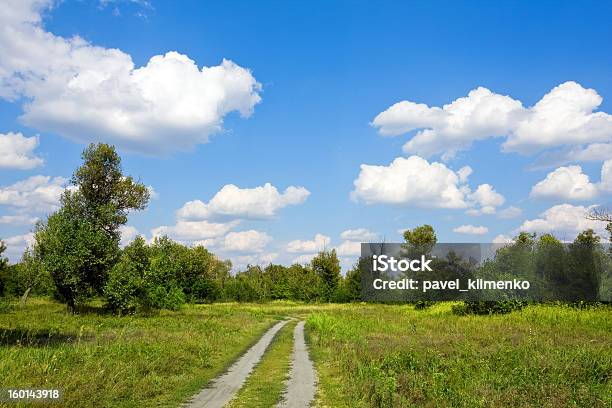 Rural Road In Steppe Stock Photo - Download Image Now - Agricultural Field, Beauty In Nature, Blue