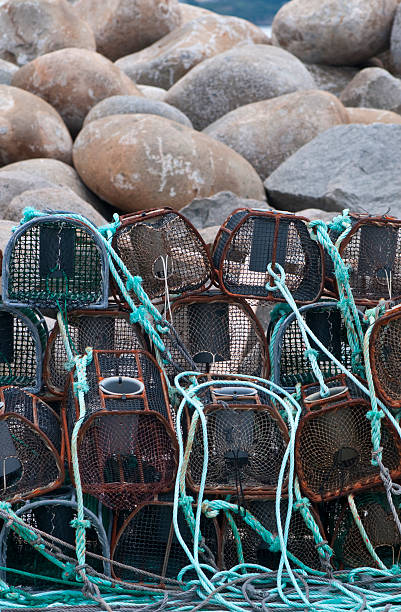 istock Crab pots in Galicia. 160144428