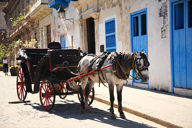 istock Horse and Carriage Cuba 160144725