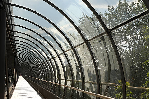 istock Pedestrian glass tunnel 160145066