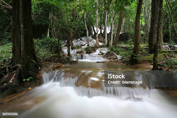 Fluxo De Floresta Tropical Na Tailândia - Fotografias de stock e mais imagens de Ao Ar Livre - Ao Ar Livre, Beleza natural, Branco
