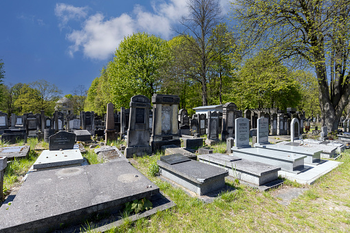 Lodz, Poland - May 4, 2023: Lodz Jewish Cemetery,  tombstones and mass graves of victims of the Lodz Ghetto (Litzmannstadt Ghetto) and the Holocaust
