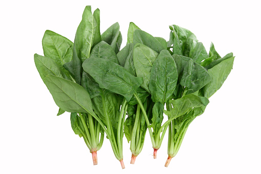 A bunch of fresh spinach isolated on white