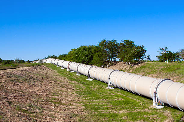 istock Industrial pipe with gas and oil 160146247